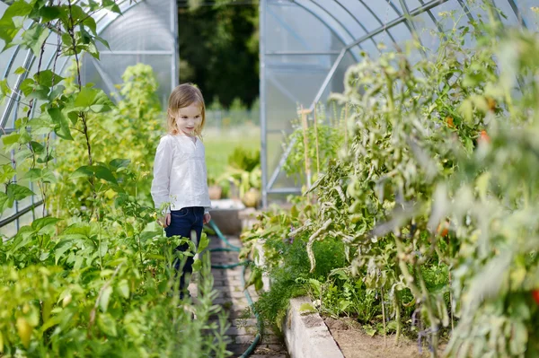 Adorável pequeno jardineiro em estufa — Fotografia de Stock