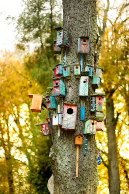 Lots of nesting boxes on a tree clipart