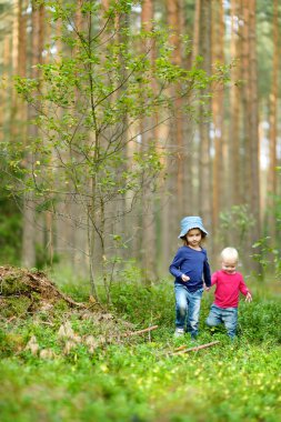 iki sevimli küçük kız hiking