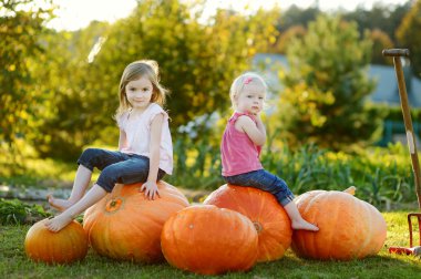 iki küçük kız büyük kabak oturan