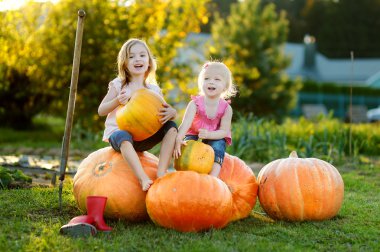 iki küçük kız büyük kabak oturan