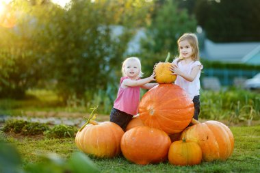 iki küçük kız büyük kabak oturan