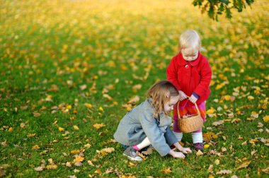 küçük kızlar sonbahar gününde meşe palamutları toplamak