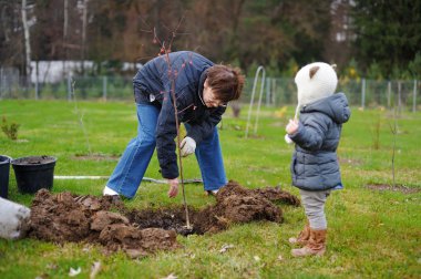 küçük kız ve büyük annesi bir ağaç dikme