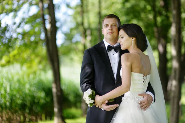 Bella sposa e sposo — Foto Stock