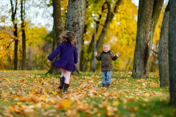 Діти грають в осінній день — стокове фото