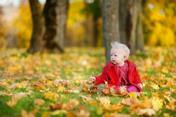 Bedårande tjej att ha kul på höstdag — Stockfoto