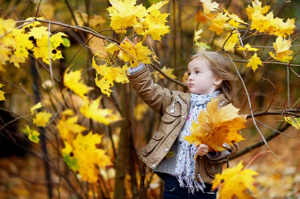 Roztomilé dívky baví na podzimní den — Stock fotografie