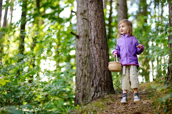 Adorable niña recogiendo bayas en el bosque — Foto de Stock