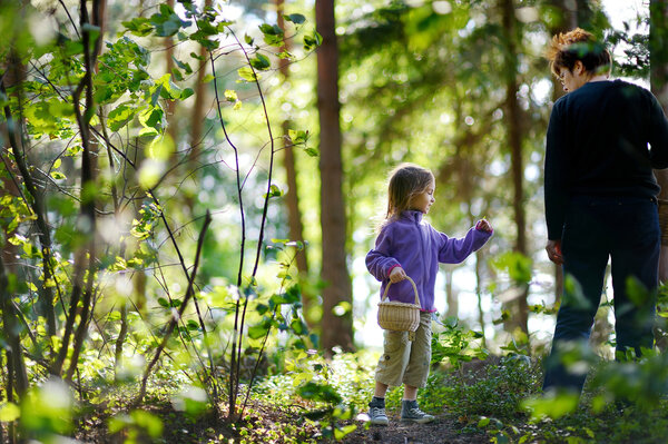 Grandmother and her granddaughter picking berries