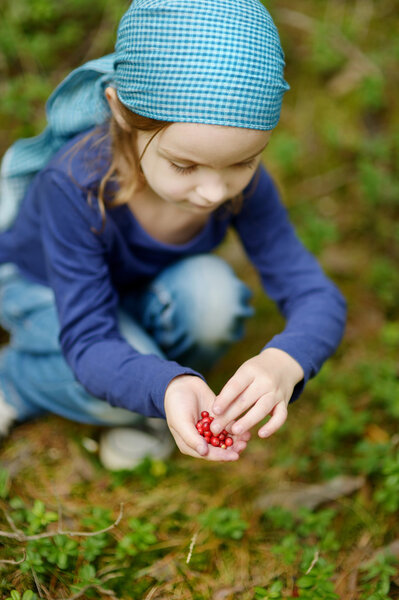 Adorable girl picking foxberries in the forest