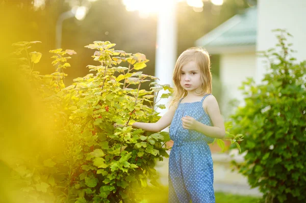屋外の愛らしい少女の肖像画 — ストック写真