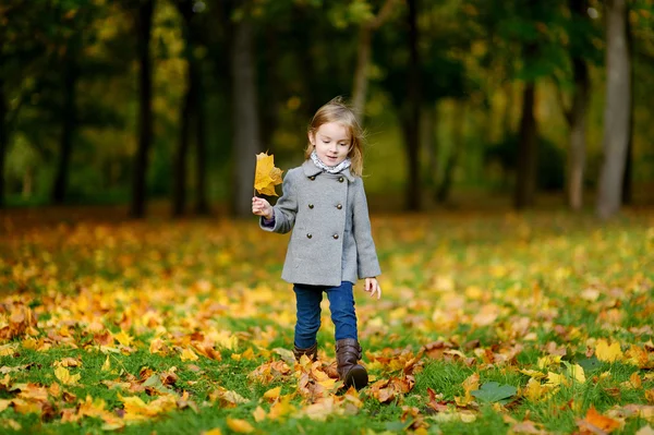 Imádnivaló lány szórakozás őszi napon — Stock Fotó