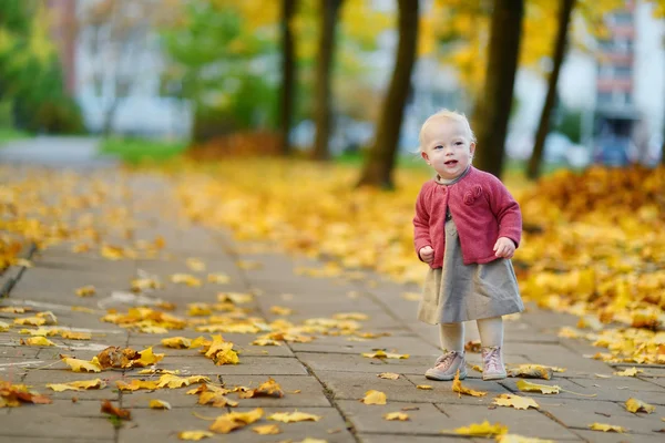 Schattig meisje heeft plezier op mooie herfstdag — Stockfoto