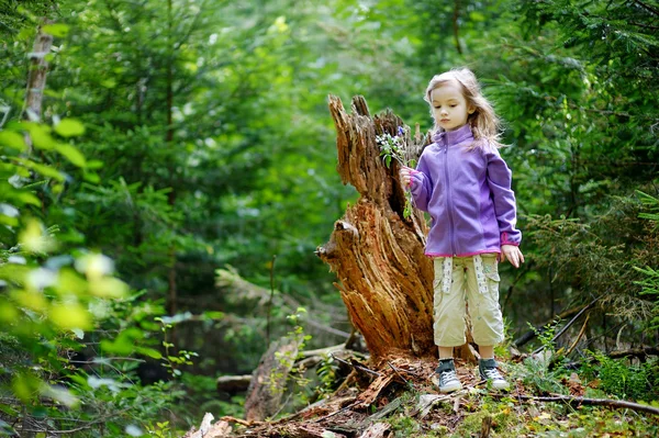 Adorable little girl hiking in the forest — Stock Photo, Image