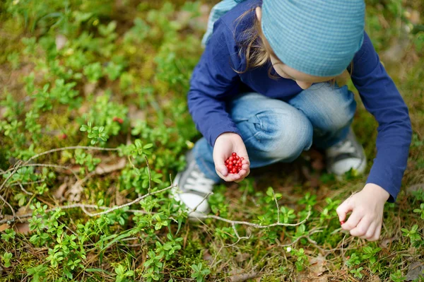 Αξιολάτρευτο κορίτσι να πάρει foxberries στο δάσος — Φωτογραφία Αρχείου
