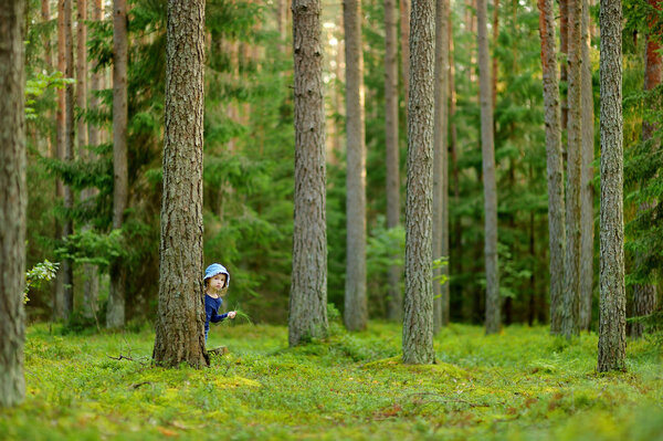 Adorable little girl hiking in the forest
