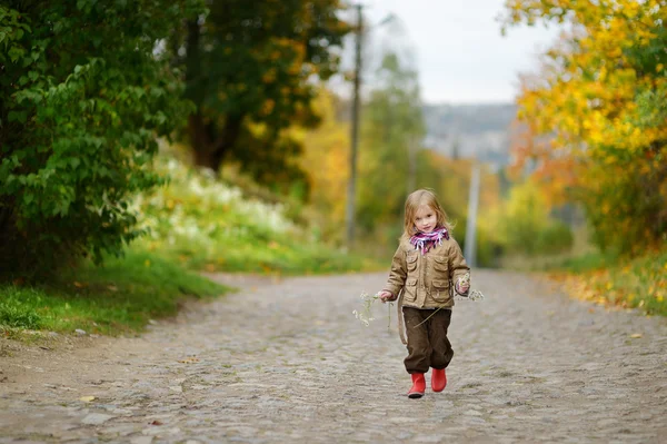 Adorabile ragazza si diverte nella giornata autunnale — Foto Stock