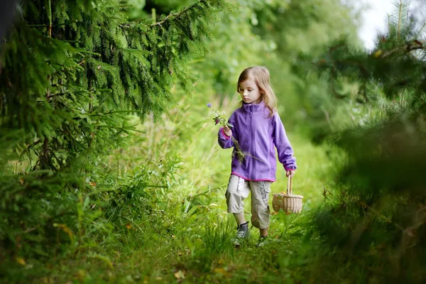 Adorable little girl hiking in the forest — Stock Photo, Image