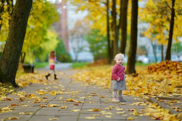 美しい秋の日に楽しみを持っている愛らしい女の子 — ストック写真