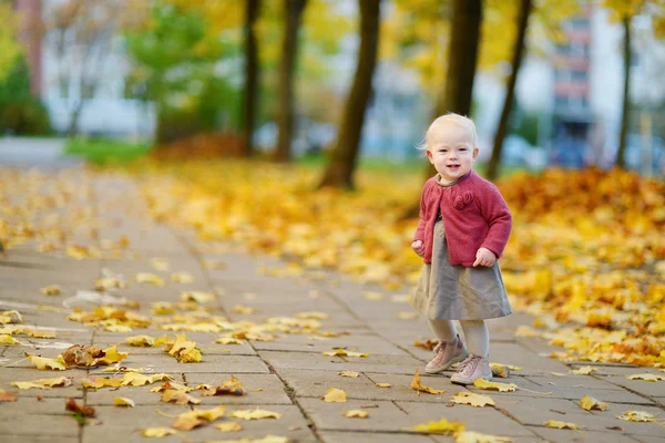 Rozkošná dívka se baví na krásný podzimní den — Stock fotografie