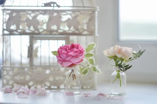 Rosas rosadas en floreros pequeños — Foto de Stock