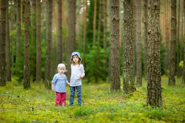 Dos adorables hermanitas haciendo senderismo — Foto de Stock