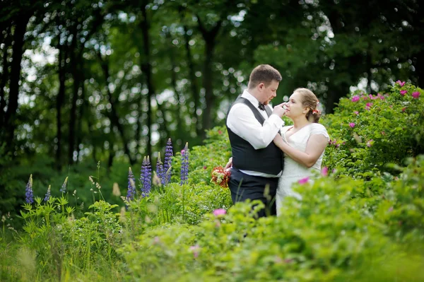 Schöne Braut und Bräutigam — Stockfoto