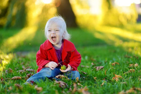 Αξιολάτρευτο μικρό παιδί κορίτσι παίζει με καστανιές — Φωτογραφία Αρχείου