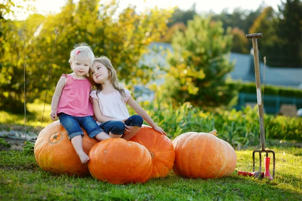 Two little sisters sitting on a huge pumpkins — Stock Photo, Image