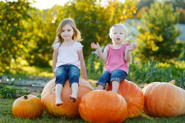 Dos hermanitas sentadas en una enorme calabaza —  Fotos de Stock