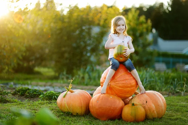 Очаровательная маленькая девочка обнимает большую тыкву — стоковое фото