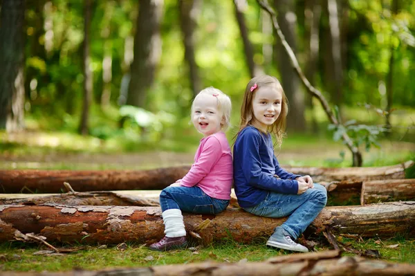 大きなログを上に座っている 2 つの小さな姉妹 — ストック写真