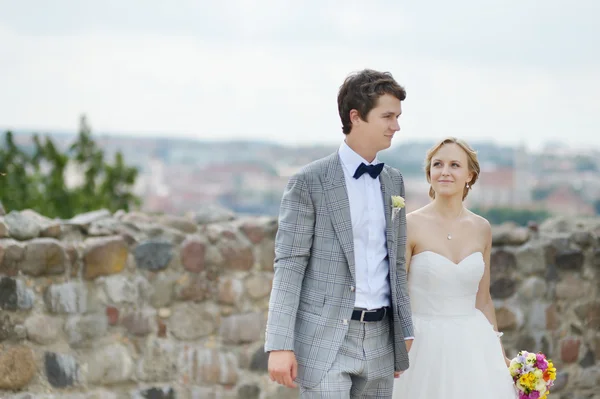 Glückliche Braut und Bräutigam amüsieren sich — Stockfoto