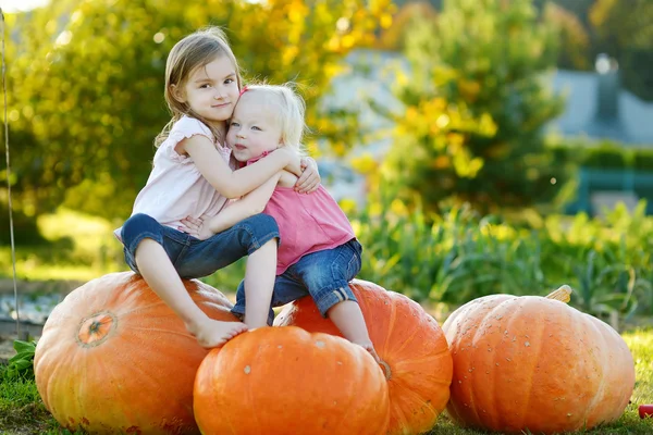 Zwei kleine Schwestern sitzen auf riesigen Kürbissen — Stockfoto