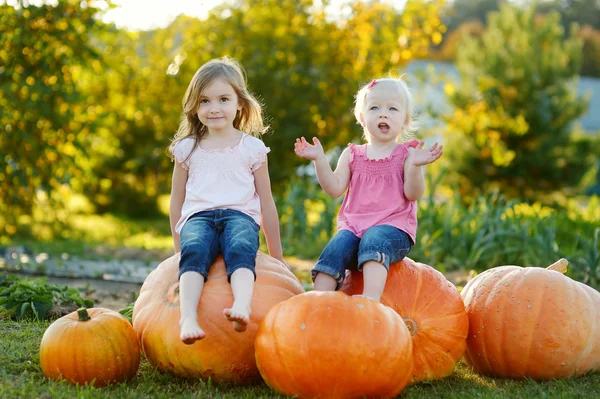 Dos hermanitas sentadas en calabazas enormes — Foto de Stock