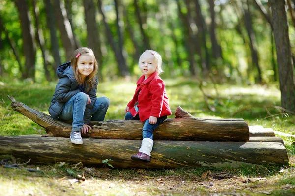 Två små systrar sitter på en stor Stock — Stockfoto