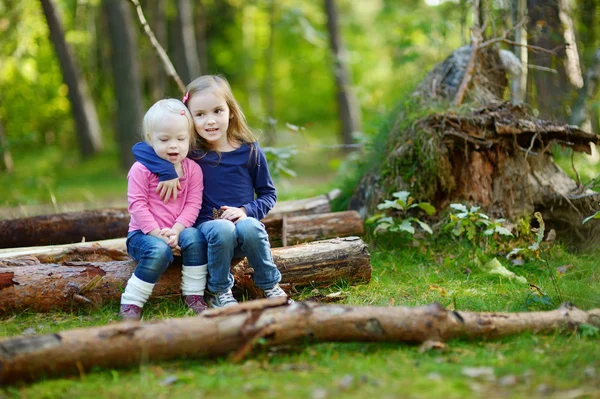 Two little sisters sitting on a big log — Stock Photo, Image