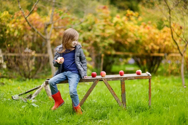 Little girl sitting on a wooden bench on autumn — Stock Photo, Image