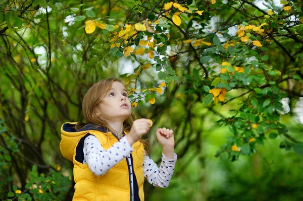 Adorabile ragazza si diverte nella giornata autunnale — Foto Stock