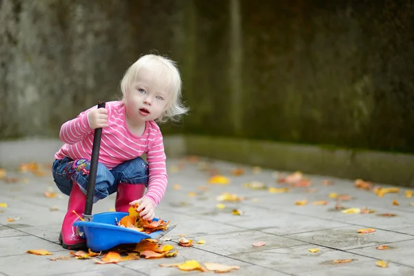 Χαριτωμένο κοριτσάκι σαρωτικές ξηρό αφήνει στο φθινόπωρο — Φωτογραφία Αρχείου