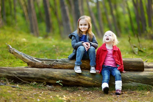 Two little sisters sitting on a big log — Stock Photo, Image