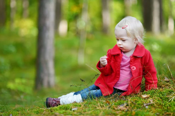 Adorável menina caminhadas na floresta no dia de outono — Fotografia de Stock