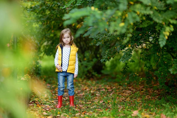 Malá holčička portrét venku na podzimní den — Stock fotografie