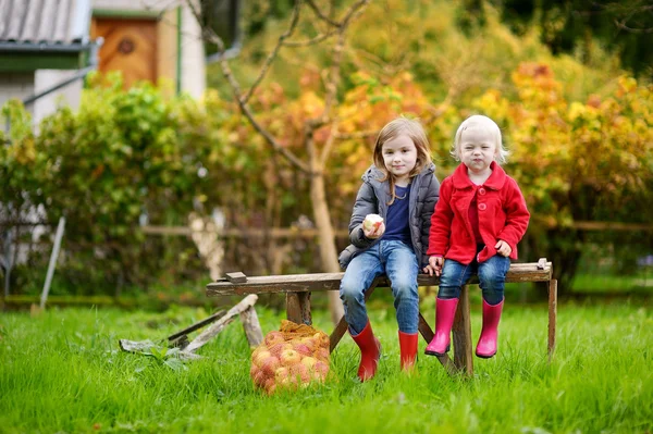 Two sisters sitting on a wooden bench on autumn — Stock Photo, Image