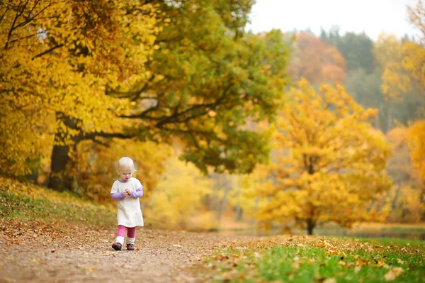 Чарівна дівчинка-малятко розважається в осінній день — стокове фото