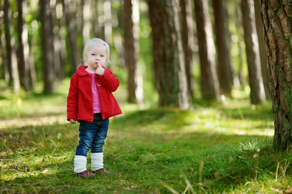 Adorable girl hiking in the forest on autumn day — Stock Photo, Image