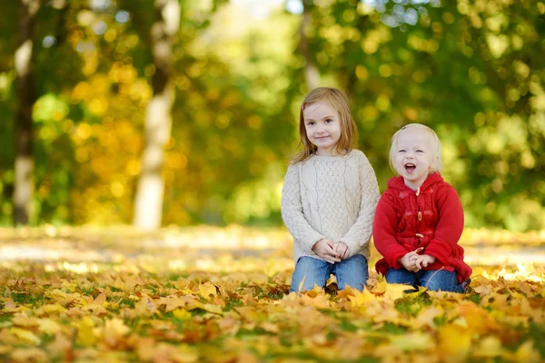 Två små systrar har roligt i höst park — Stockfoto