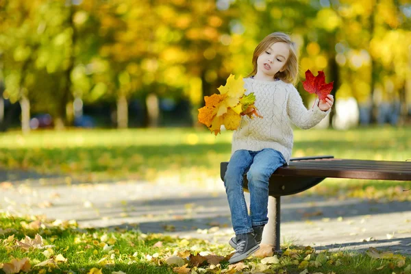 Adorable little girl having fun on autumn day — Stock Photo, Image