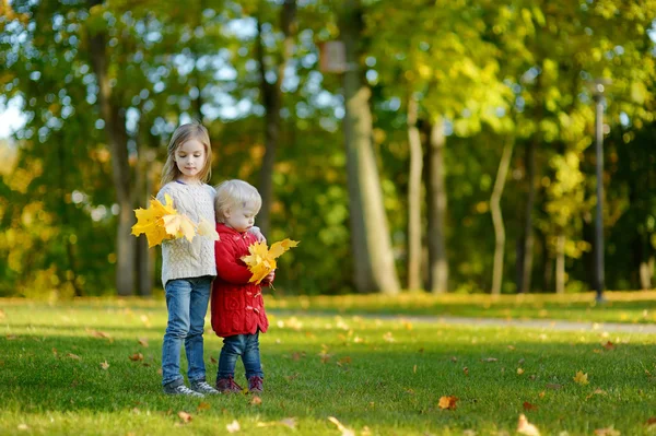 Två små systrar har roligt i höst park — Stockfoto